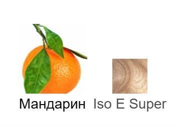 Парфюм Ester Parfum MOLECILE 01 + MANDARIN унисекс 20 ml