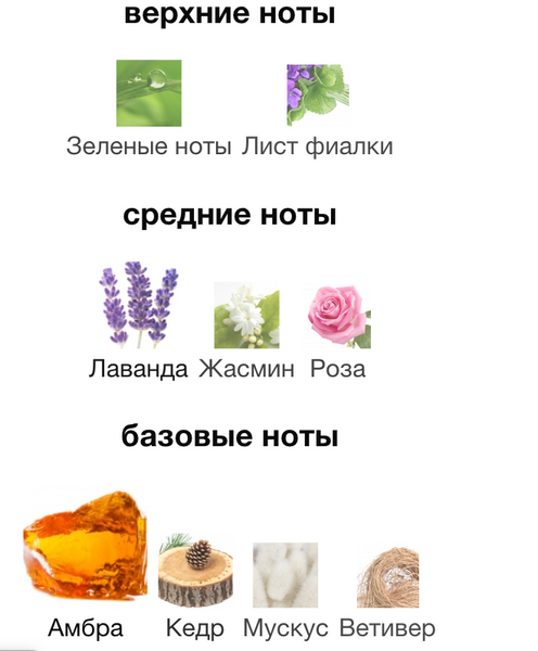 Ароматичний дифузор AMBER HOMME із дерев'яним пряним ароматом