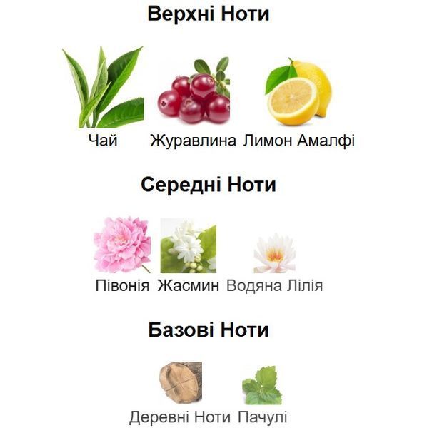 Аромадифузор Ester LE SECRET для дому