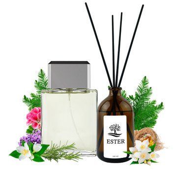 Аромадифузор Ester EGOISTE PLATINUM для дому