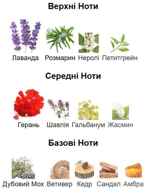Аромадифузор Ester EGOISTE PLATINUM для дому